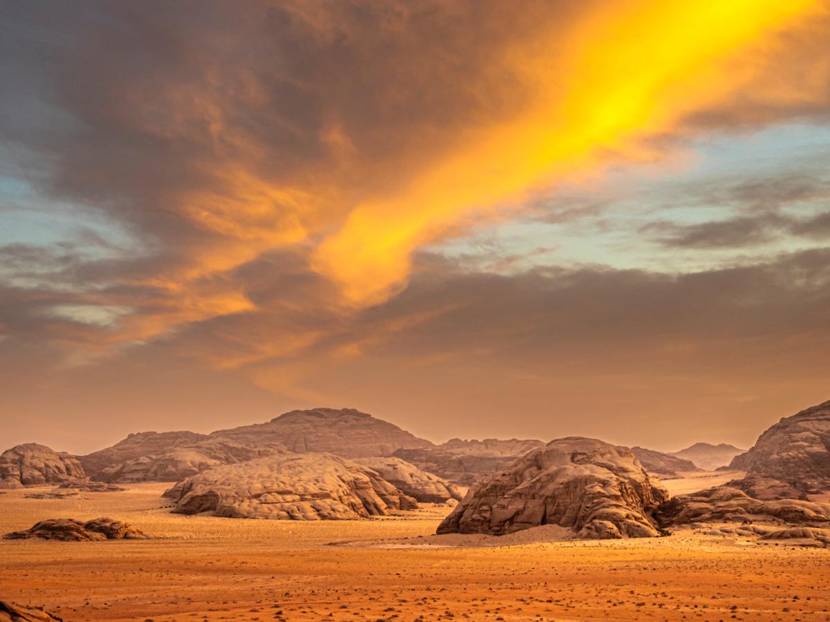 Awareness in the&nbsp;Wilderness